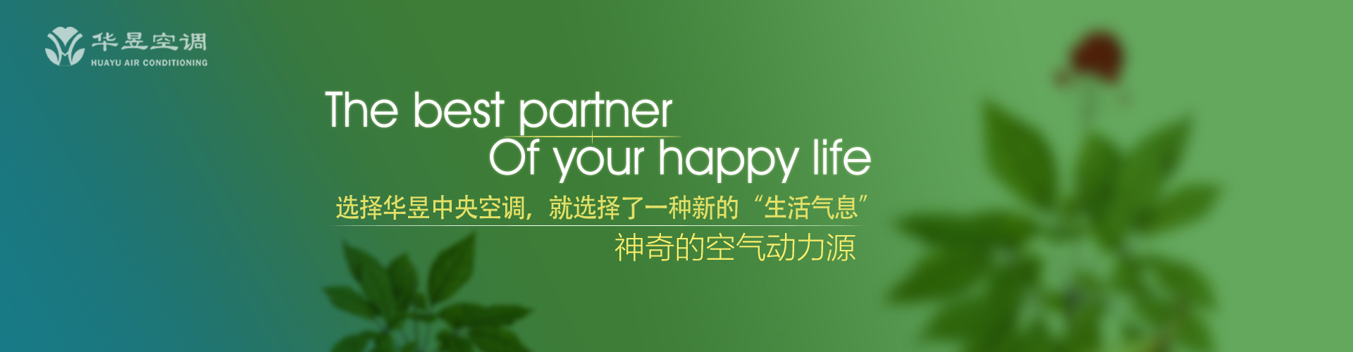 蹿房越脊网